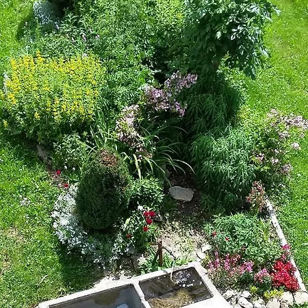 Monte-pente Apartmán *