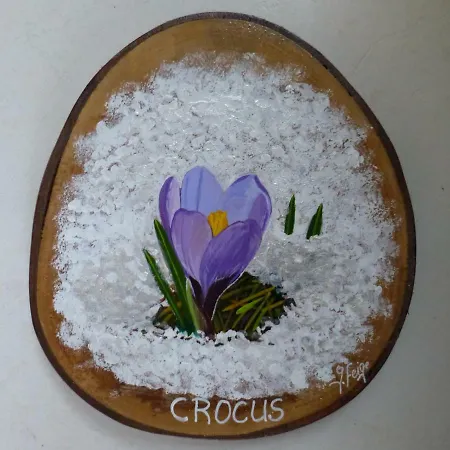 Apartmán Monte-pente